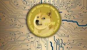 什么是狗币?网络用语狗狗币什么意思?