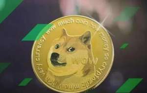 doge币起额多少钱一个?doge币今日最开始价格(现价2.8113元)