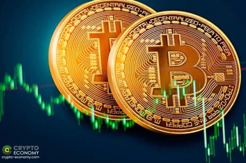 山寨币：比特币之外的世界